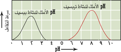 تزداد سرعة معظم التفاعلات الكيميائية بإرتفاع درجة الحرارة هذه العلاقة