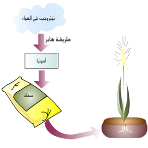 تصویر مرتبط